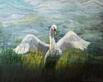 014 'Mighty Swan' 16x20 oil on canvas